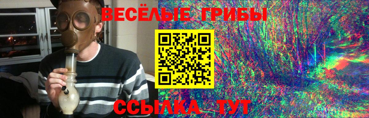 Галлюциногенные грибы Psilocybe Волхов